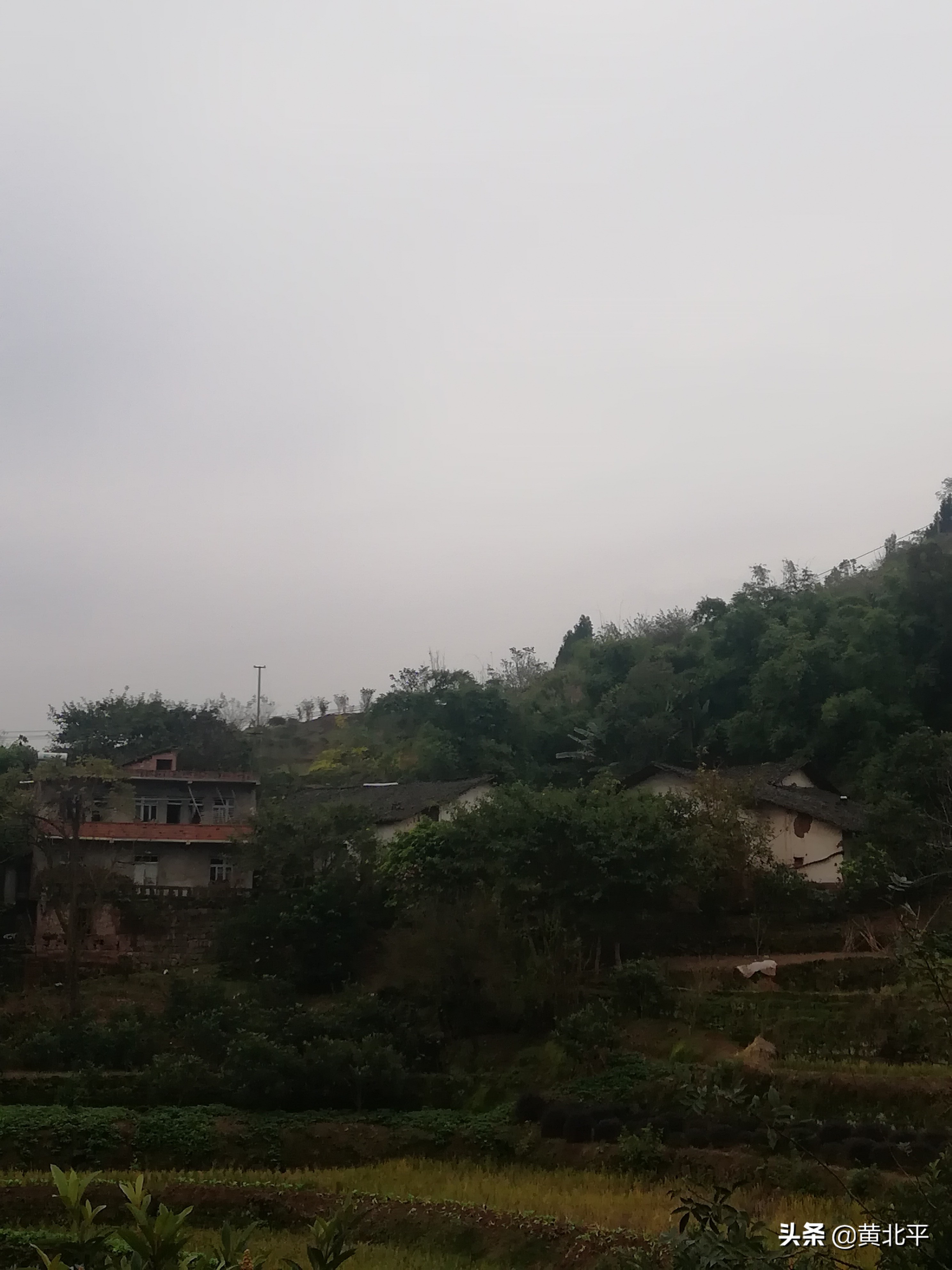 唐家大院唐家是怎么没落的,重庆唐家院子来历