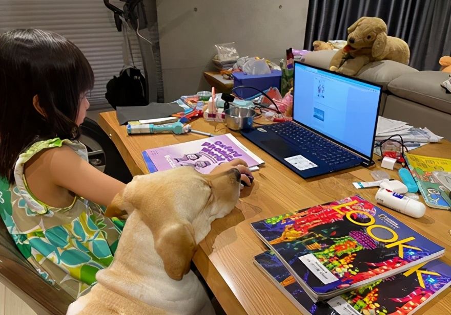 老师点名让狗一起上网课,可狗子的反应……哈哈哈哈