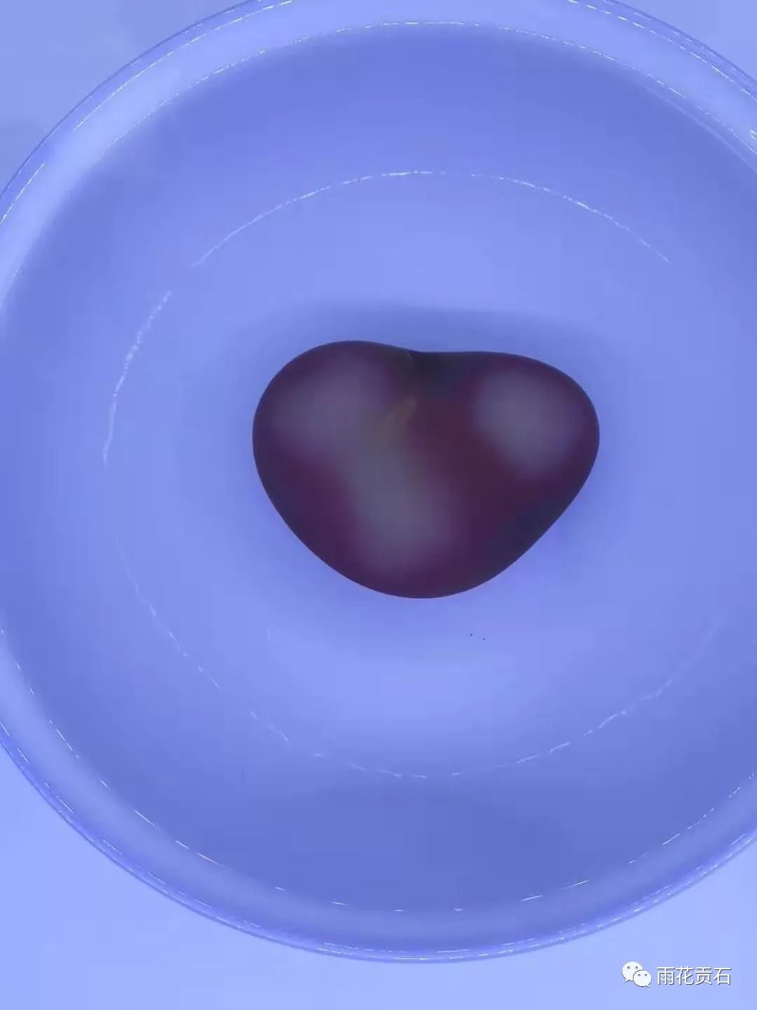 雨花石非遗传承,弘扬雨花石文化团队