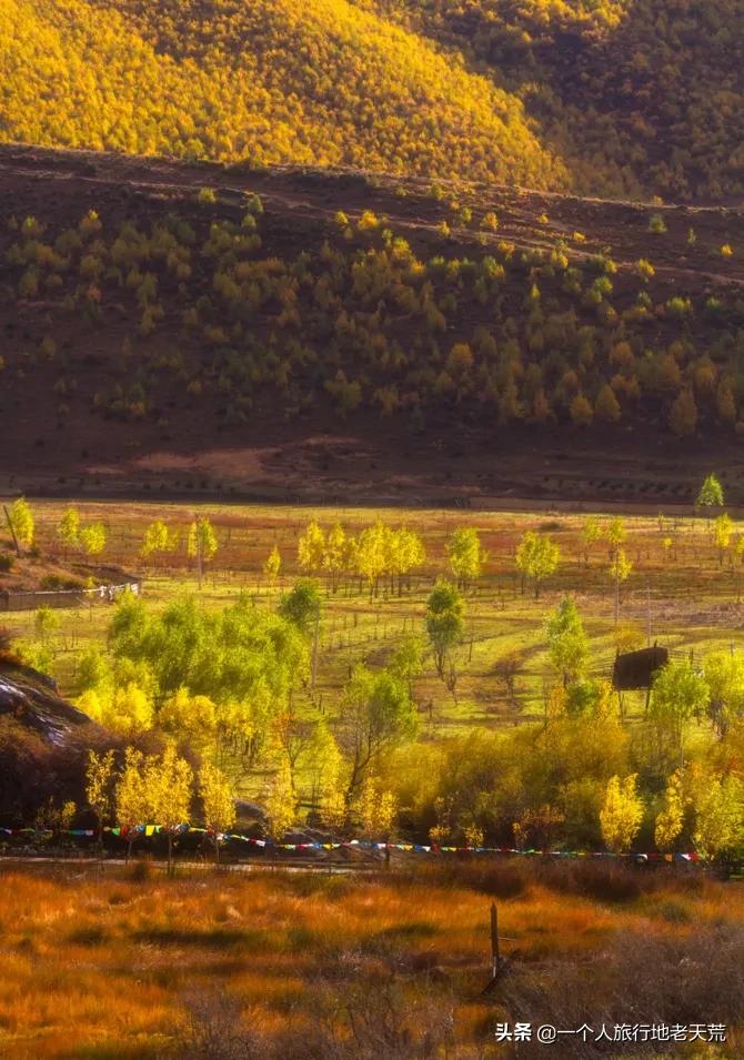 国庆带宝宝去玩的宝藏地方,贵阳国庆周边宝藏地