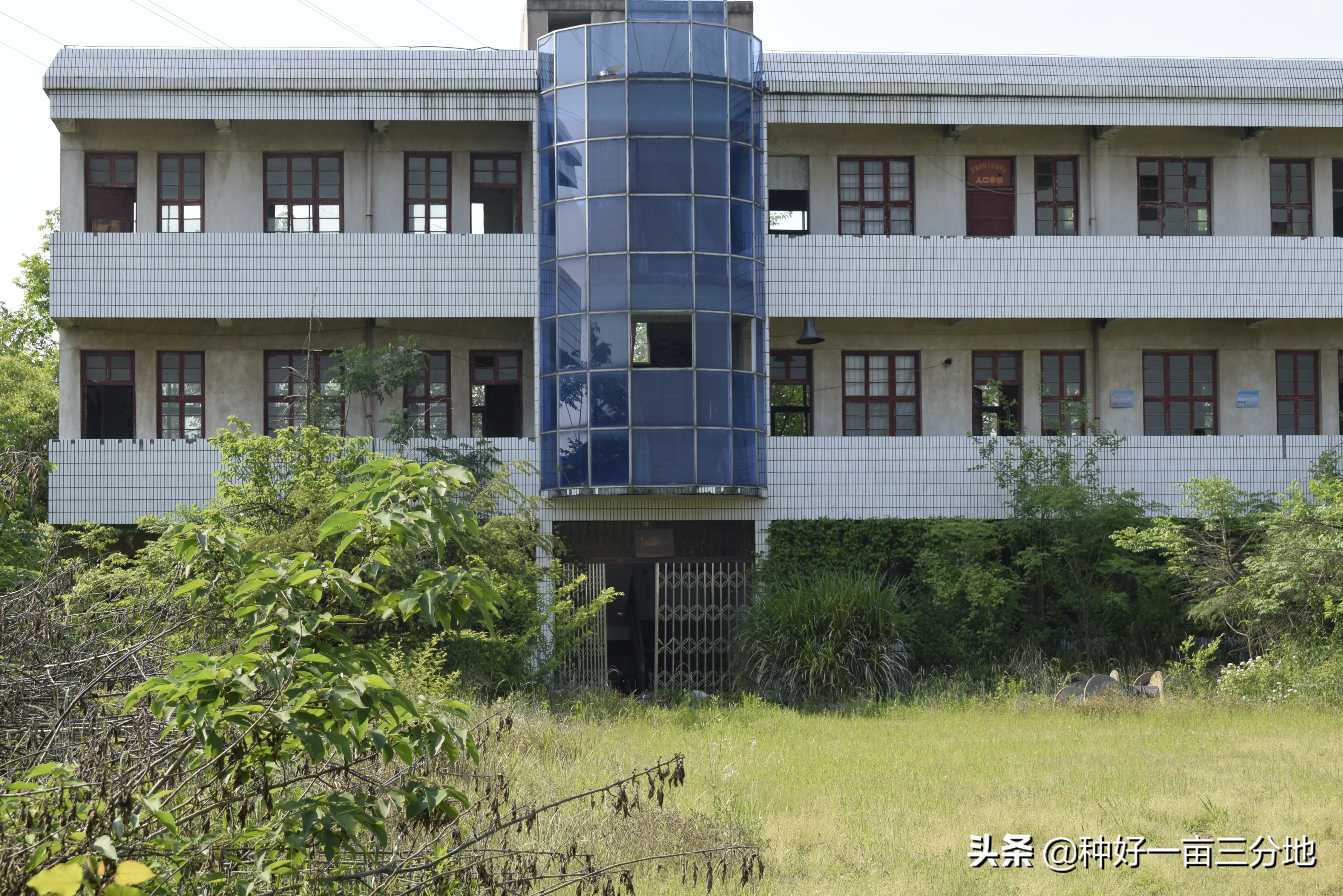 湖北的废弃小学,湖北荒废废弃学校