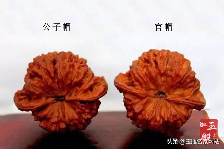 公子帽核桃有哪些品种,核桃公子帽和官帽的价值