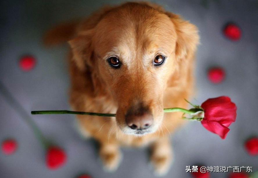 中国三千万男光棍该怎么办,中国光棍3000w娶不上媳妇怎么办