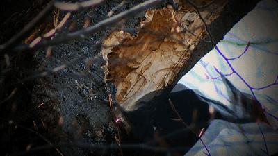 太硬核了全场高能视频,太硬核了全场高能