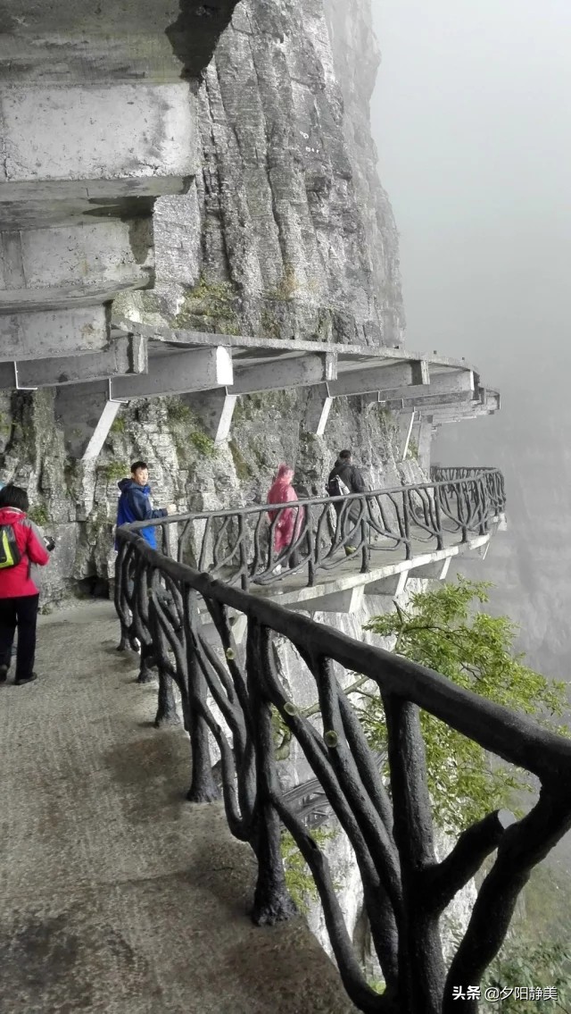 张家界天门山门票,张家界天门山一日游攻略省钱