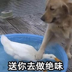 「沙雕小说40」小混混把她拉入了厕所，她无奈帮他们写起了作业