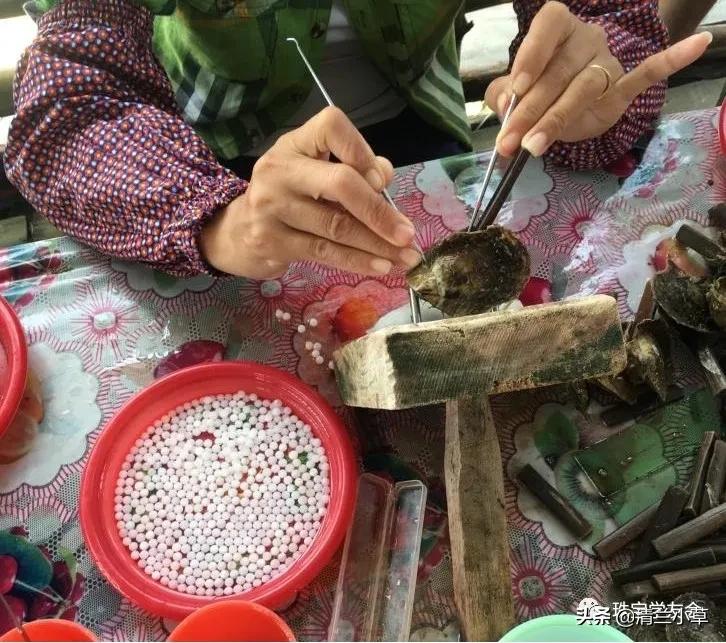 珍珠的知识图片大全,珍珠最全知识