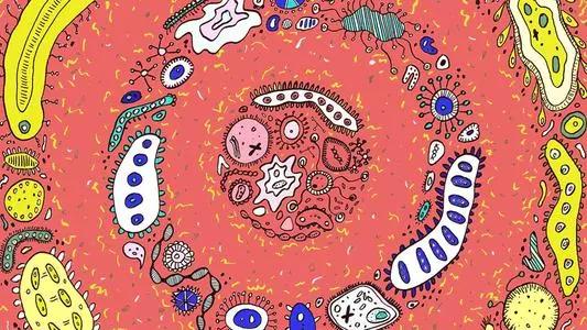 这几种液态的益生菌作用好，但不能多吃，你可能也吃过！