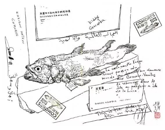 著名画家写生速写人物画,名家画家速写