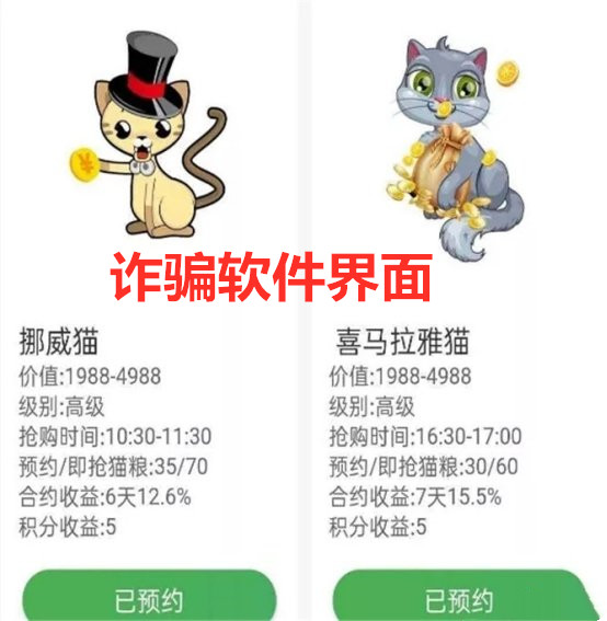 养猫被骗报警了,网络养猫被骗案