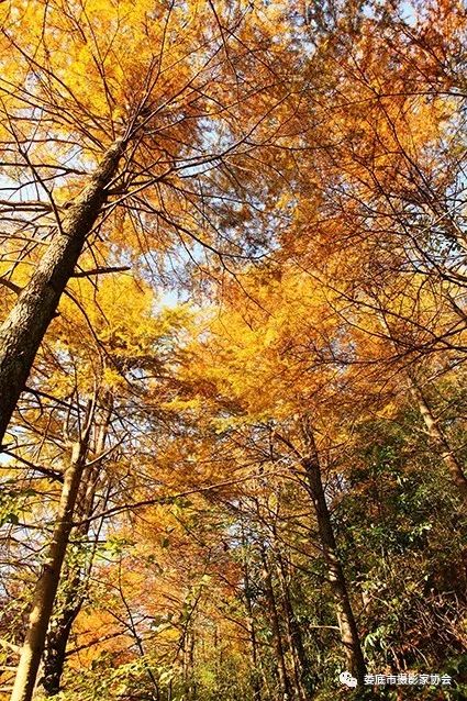 最新风景摄影小品欣赏,娄底景观小品