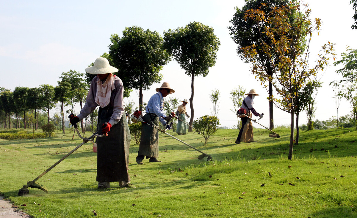 加强绿化养护管理工作,怎样抓好园林绿化管理