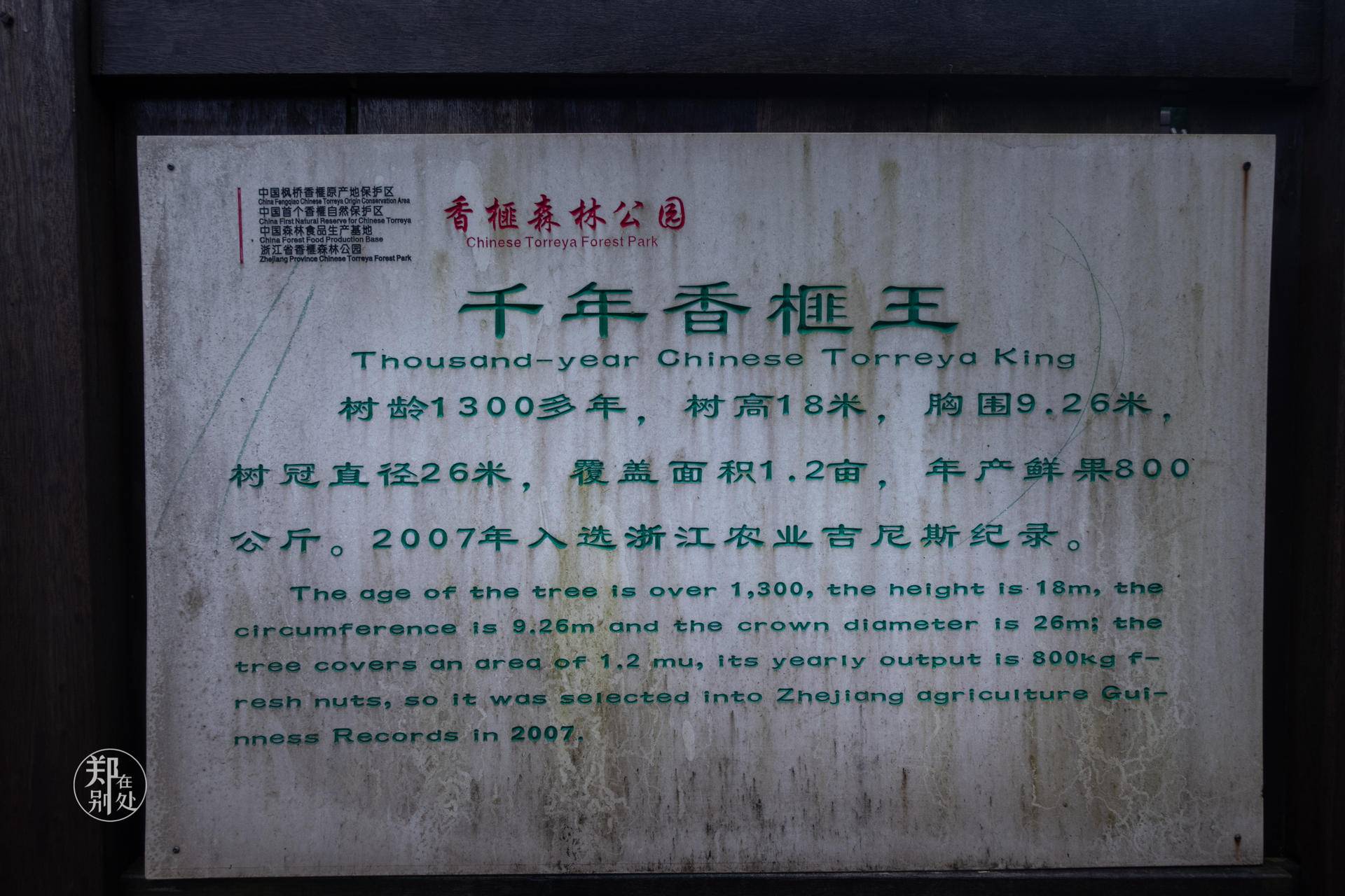 香榧古道,香榧古道徒步路线哪条景色美