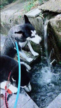 学会这招不愁找不到女朋友,学会这几招不怕找不到女朋友