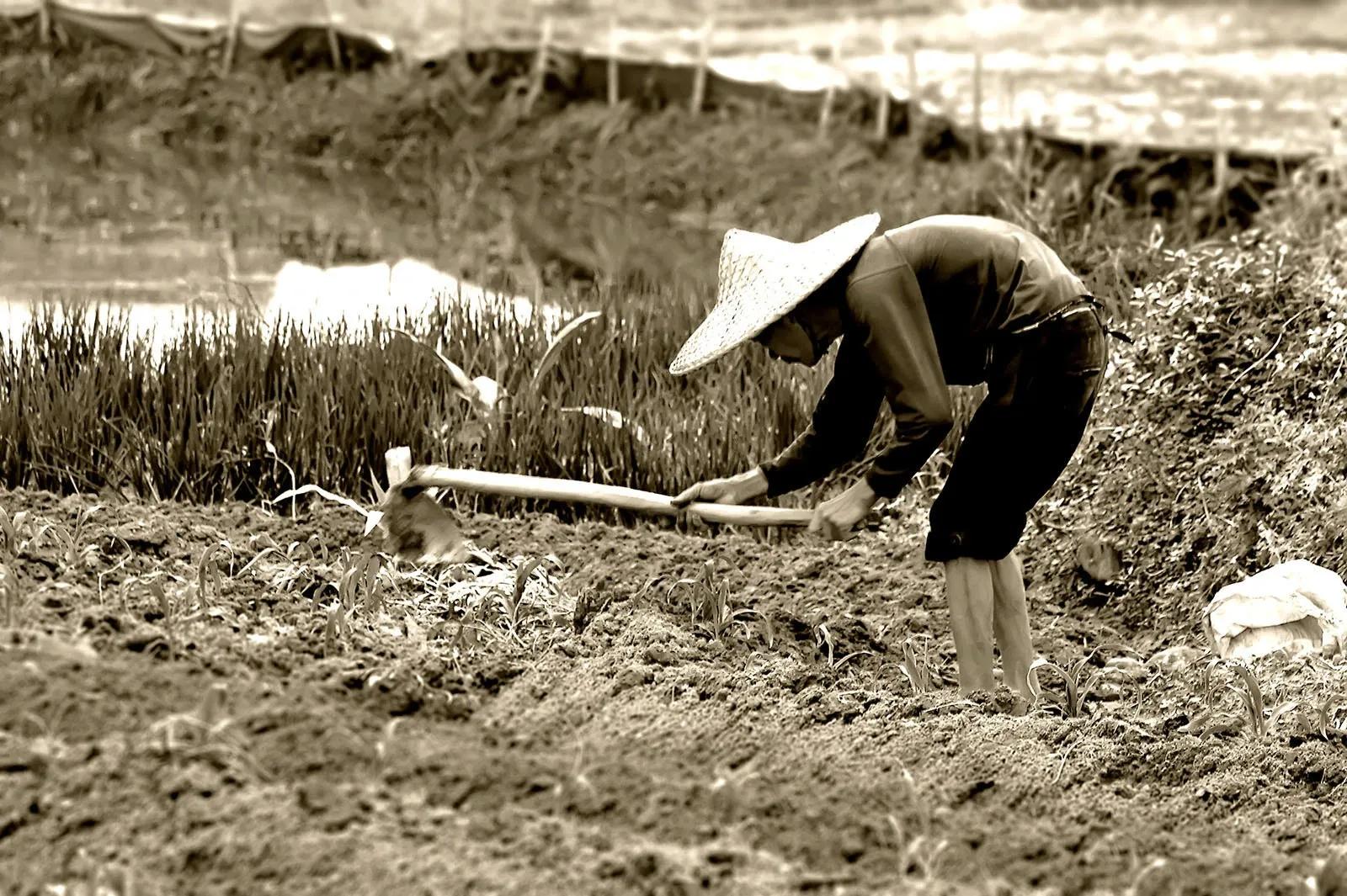 农村铺床经典顺口溜,来整理一下农村顺口溜都是经典