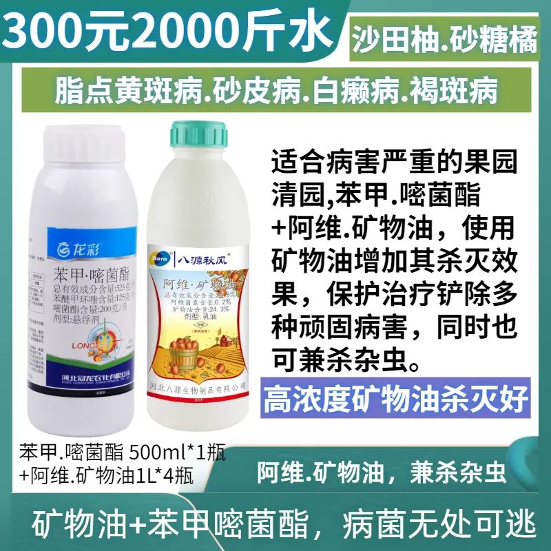 本轮寒潮对春耕的影响,什么药防治柑橘沙皮病虫害