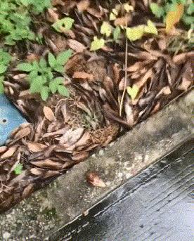 开心一刻gif搞笑动图,搞笑gif段子看起来能量满满