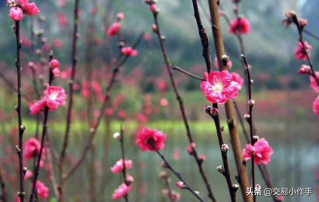 期货交易之道贵在思考,期货之道实战