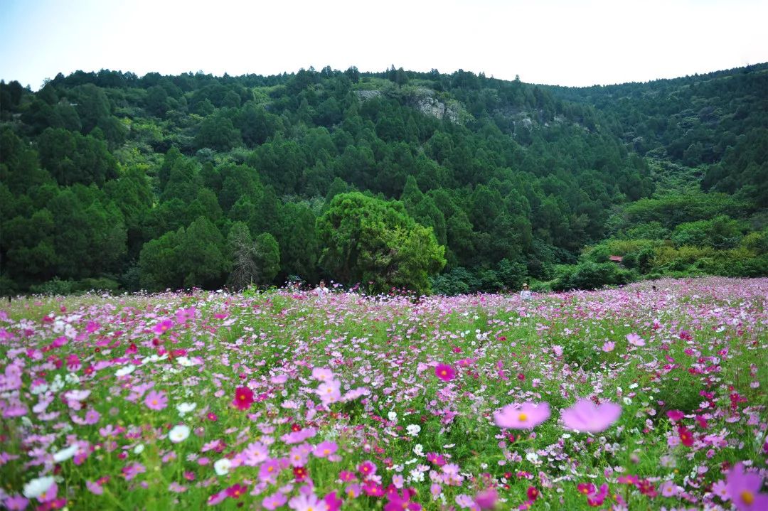 济南必去网红打卡地,济南网红打卡地经三纬三