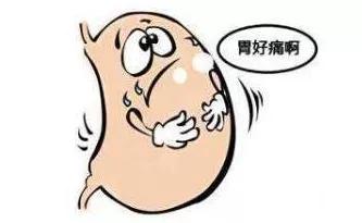 茶知识偏门,茶知识盘点喝茶的九大真相