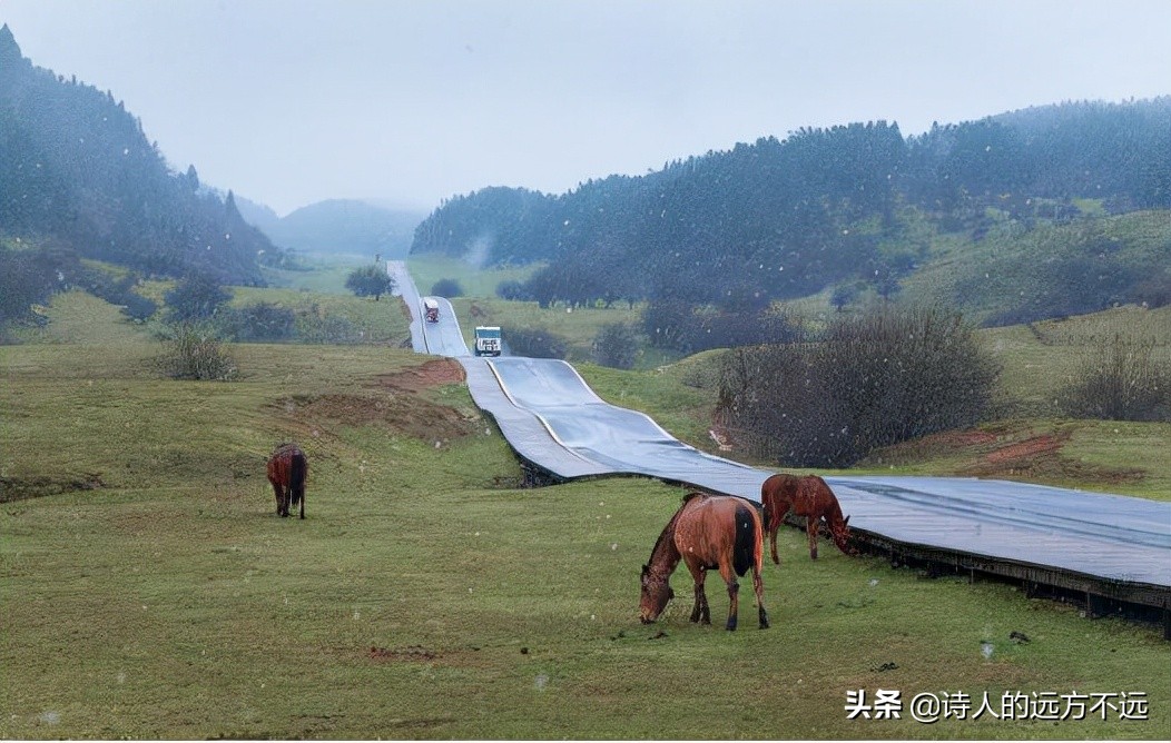 2020年仙女山第一场雪,仙女山第一场雪