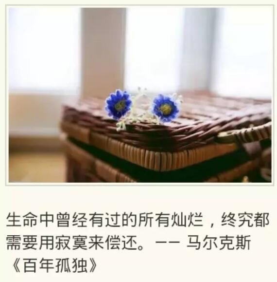 百年孤独开场白第一句是什么典故,深度解析百年孤独开场白