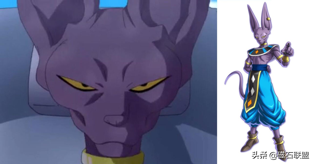 与众不同的特性,独特性格的猫