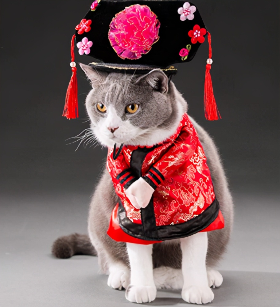 中国尿盆在美国高价热卖！放红酒当果盘，外国人这么好骗吗哈哈哈