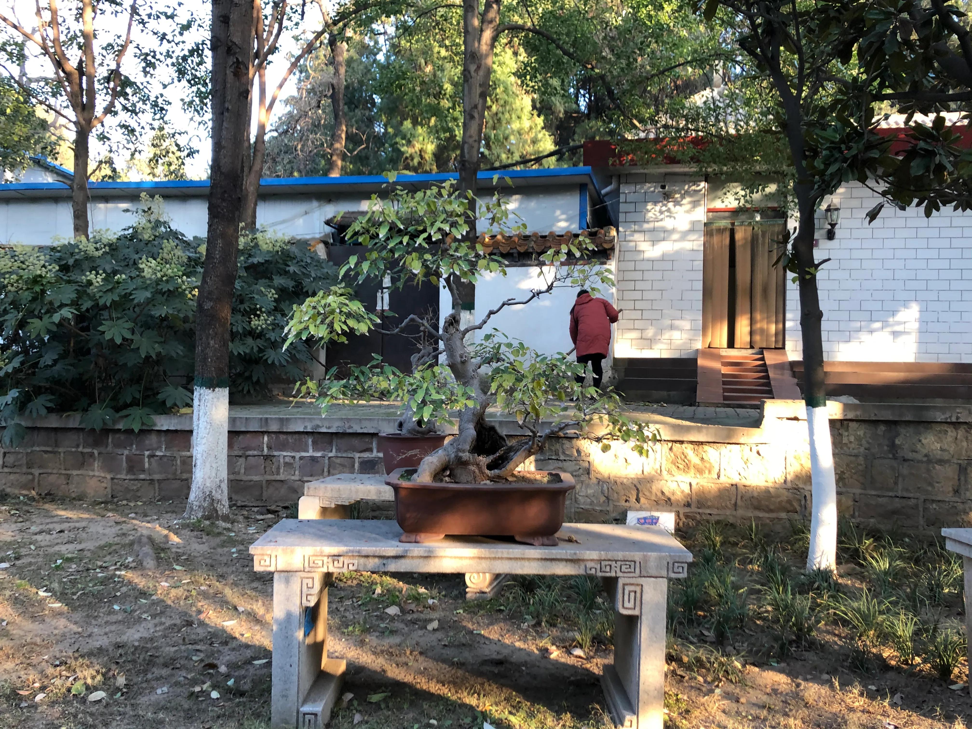 平顶山河滨公园旅游攻略,平顶山森林公园游记