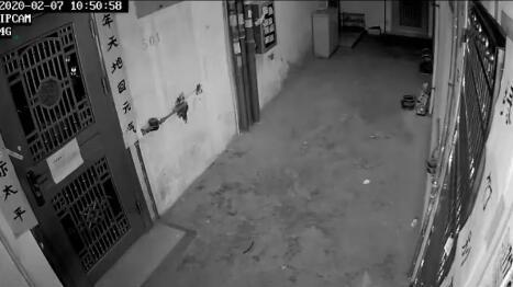 看看这么作的人！还差1天就能解除隔离，她做了一件事，结果要增加隔离三天