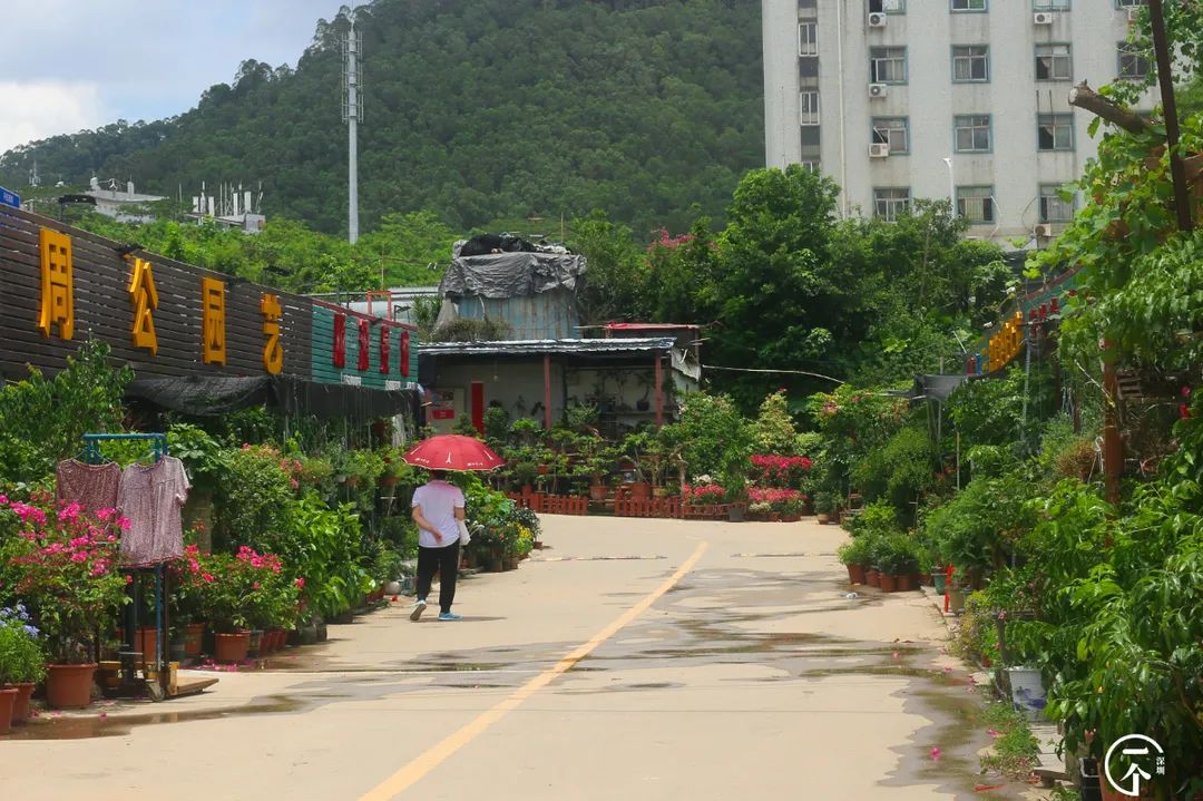 布吉哪里的房租最便宜,布吉房租为什么便宜