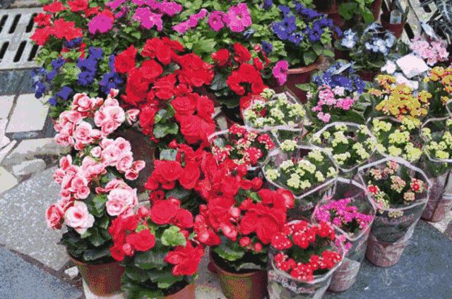 深圳最便宜年货批发市场货源,深圳年货市场哪里便宜