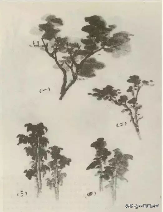 缠枝、挺杆、屈节、钮裂、一棵树如何画?看了这篇你绝对能学会