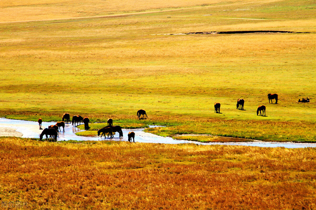 赤峰为什么是内蒙古经济中心,内蒙古赤峰有哪些地方发展好