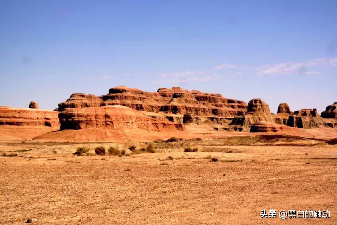 都说新疆好去新疆发展可靠么,都说新疆好地方