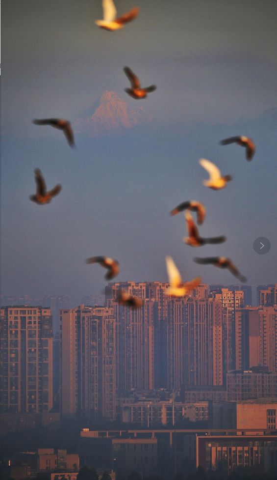 成都是啥,成都都有些什么