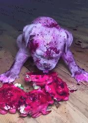 搞笑版的小萝莉,搞笑小萝莉图片