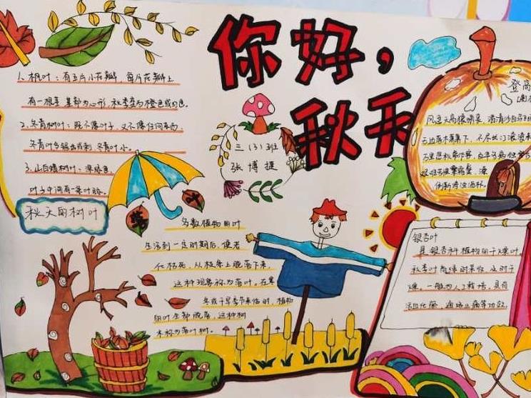 太有创意了!古城实小开展“秋•树叶”为主题的实践活动