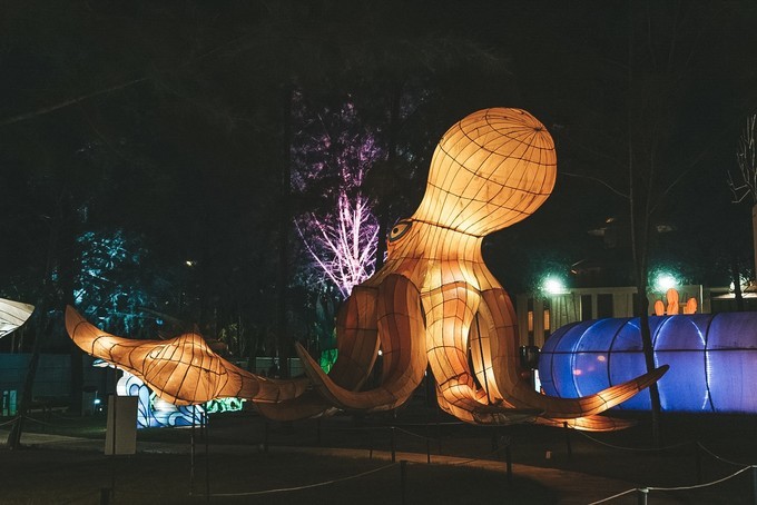 印尼巴丹岛和民丹岛哪个好玩,新加坡印尼岛屿攻略