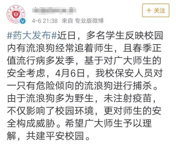 佩奇养猪的视频,佩奇养猪