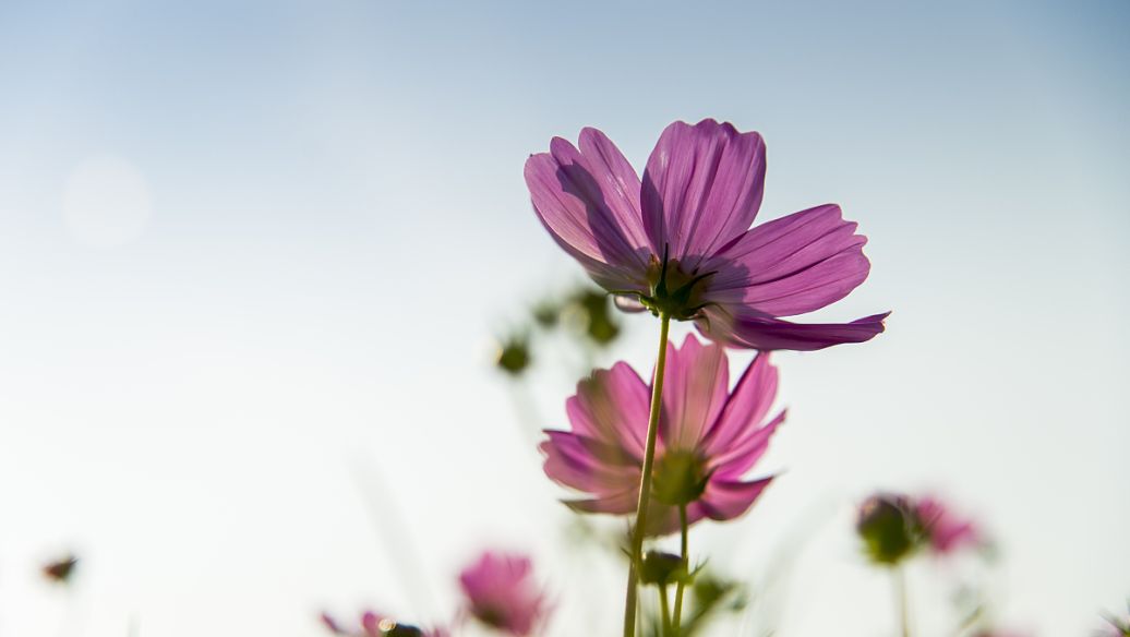 产后抑郁到底有多可怕?这是属于女性自己的,一场无声的抗争