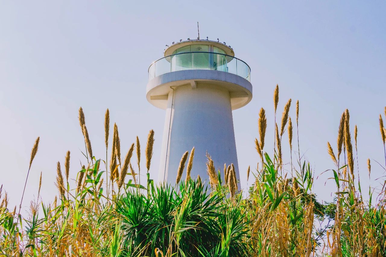 深圳二号线沿线有哪些景点游玩,深圳9号线沿途好玩的地方推荐