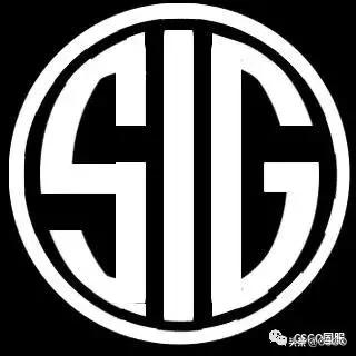 西格绍尔步枪sg553,西格绍尔热门枪型