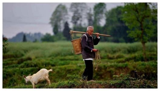 俗语人到四十两不碰三不动四不换,农村老话人过四十三不动三不换