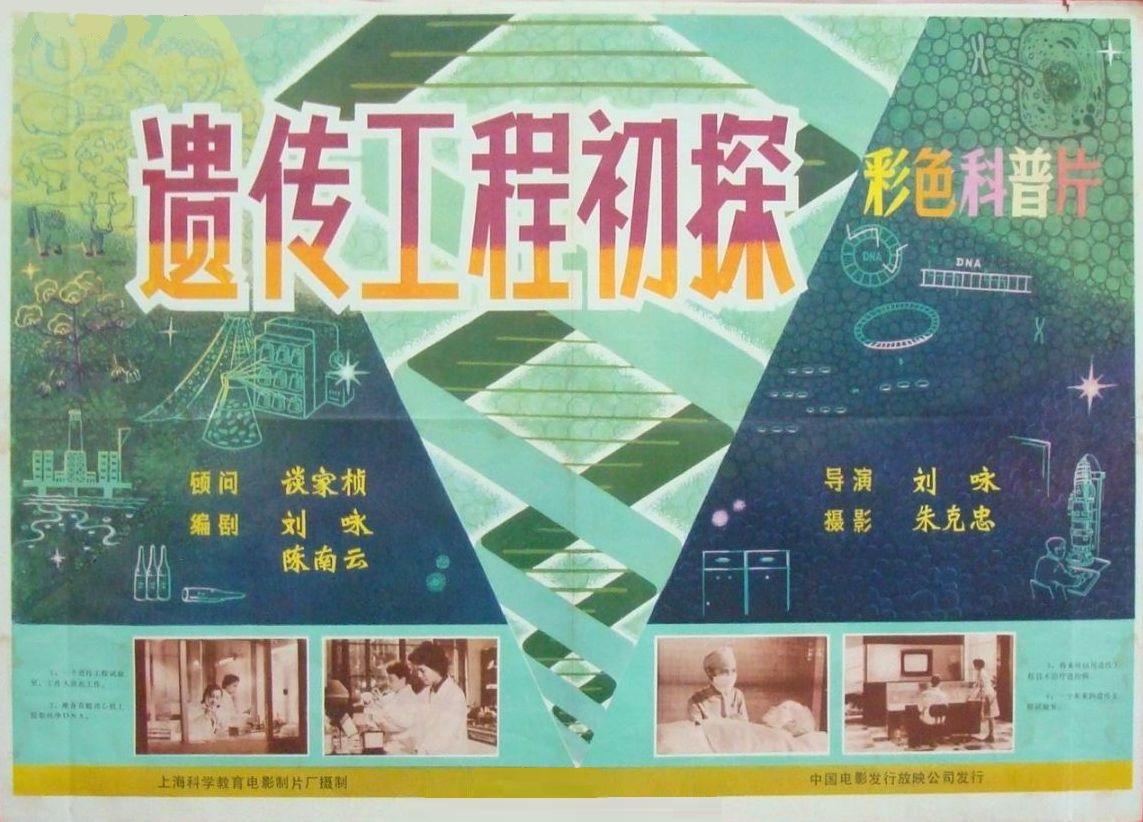国产动画片发展史,国产动画片排行榜90年代版最新