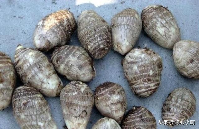 大妈校门口卖罕见小吃半天卖出,小伙街头卖小吃10元1个日卖400个