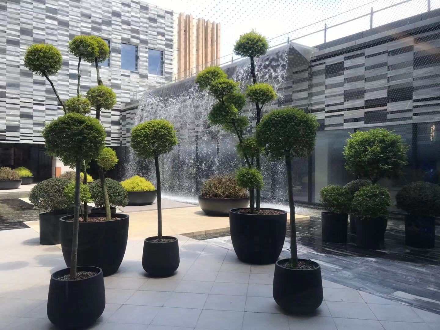 宁波阪急最新视频,宁波阪急真实视频