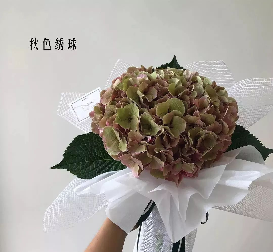 鲜花店常见花材品种大全,花店里同款的两种不同价格的花材