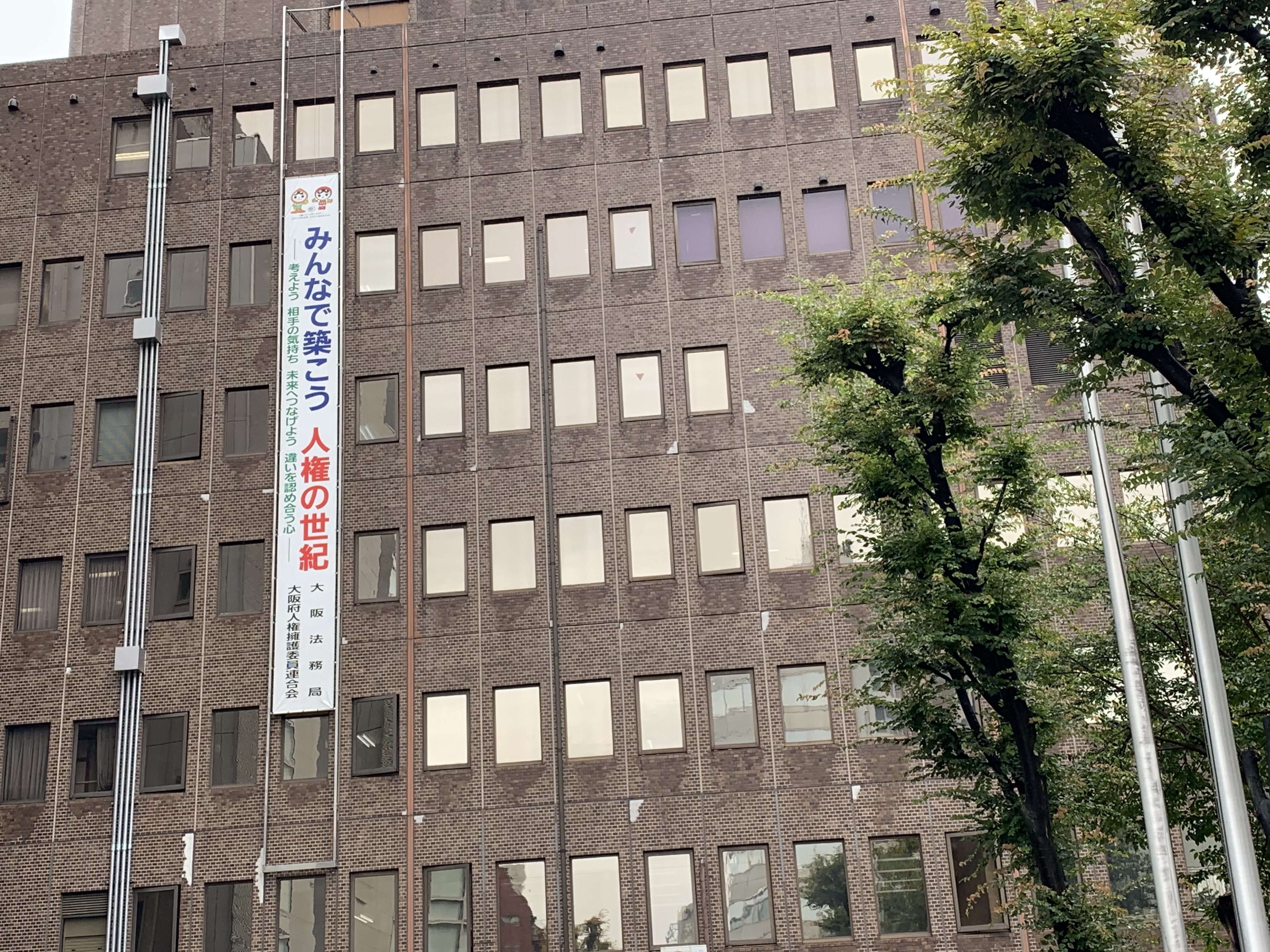 日本代购商品在中国能买到吗,一篇文章就看懂日本直邮