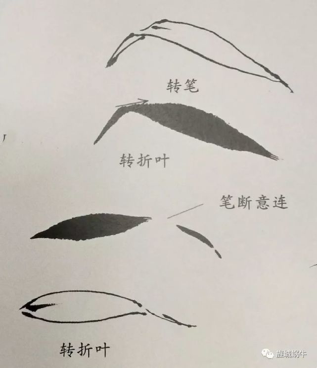 竹叶的画法模板,竹叶的钢笔画法